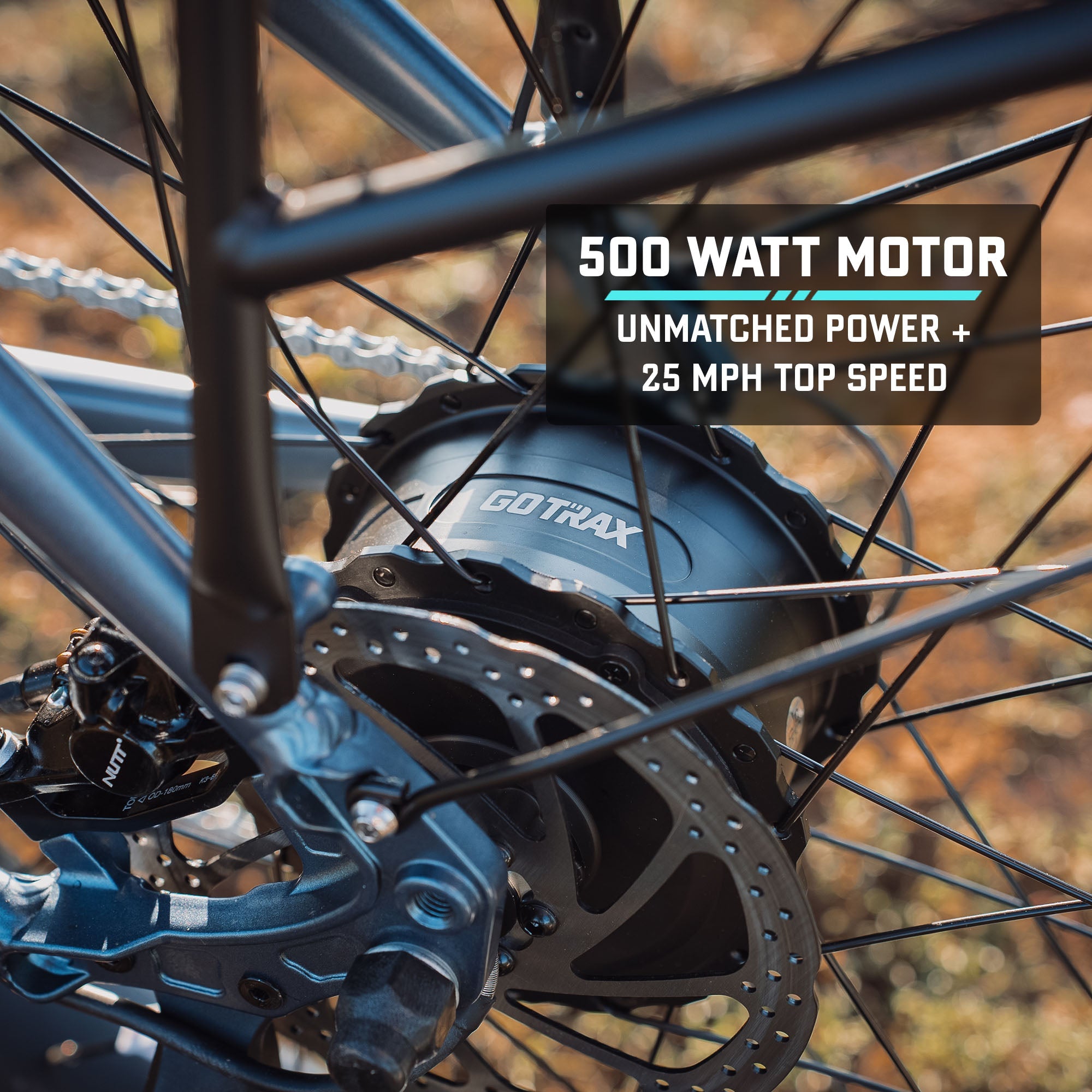 Alpine Fat Tire eBike - GOTRAX